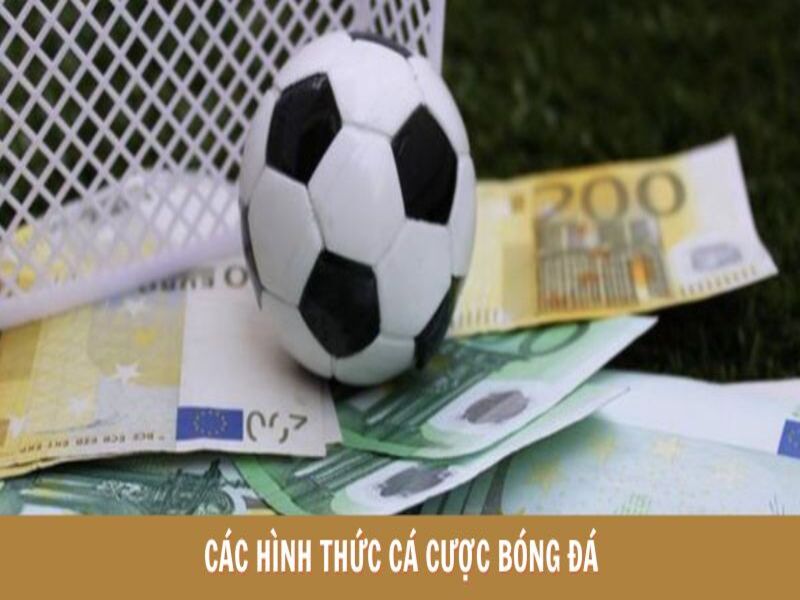Hình thức cá cược bóng đá 23win phổ biến