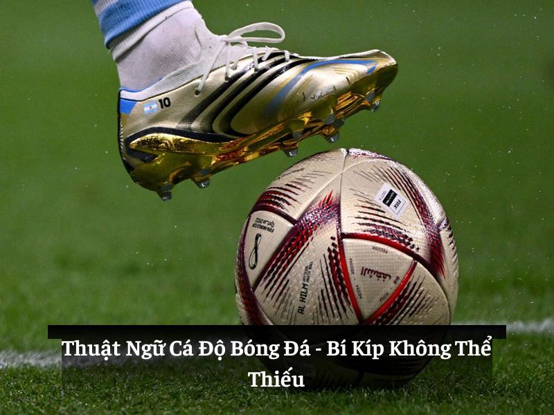 Thuật Ngữ Cá Độ Bóng Đá: Bí kíp không thể thiếu